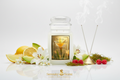 Enchanted Forest 24oz White