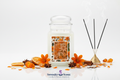 Starry Nightlight 24oz White