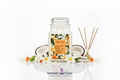 Tropic Haze 24oz White Background - Lid On